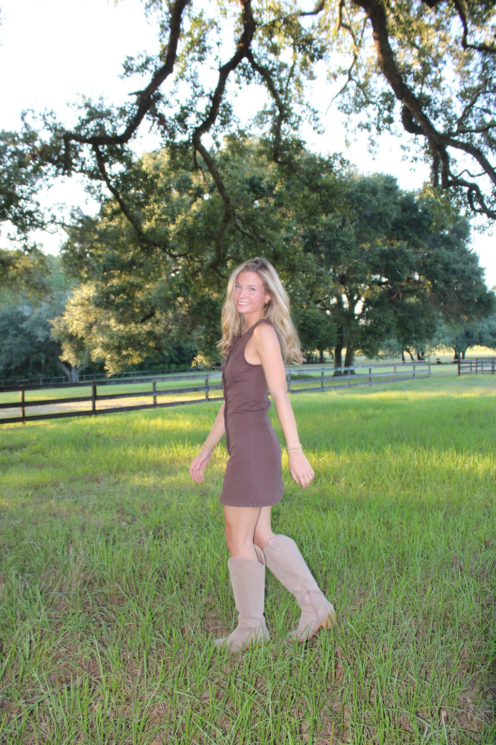 Brown Bow Denim Mini Dress