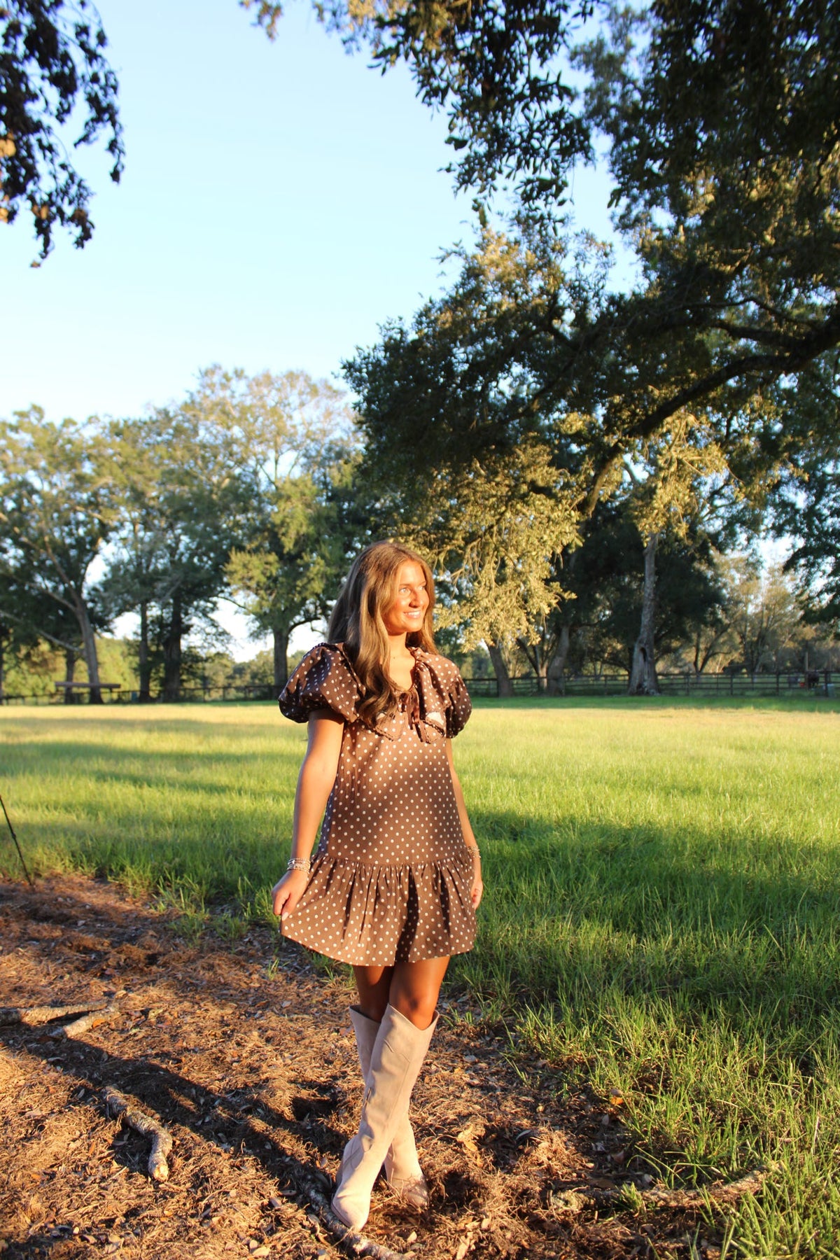 Brown Polka dot Dress