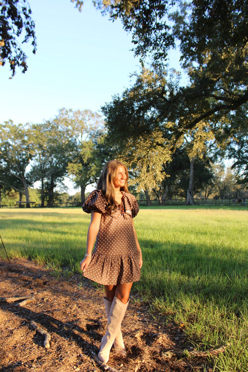 Brown Polka dot Dress