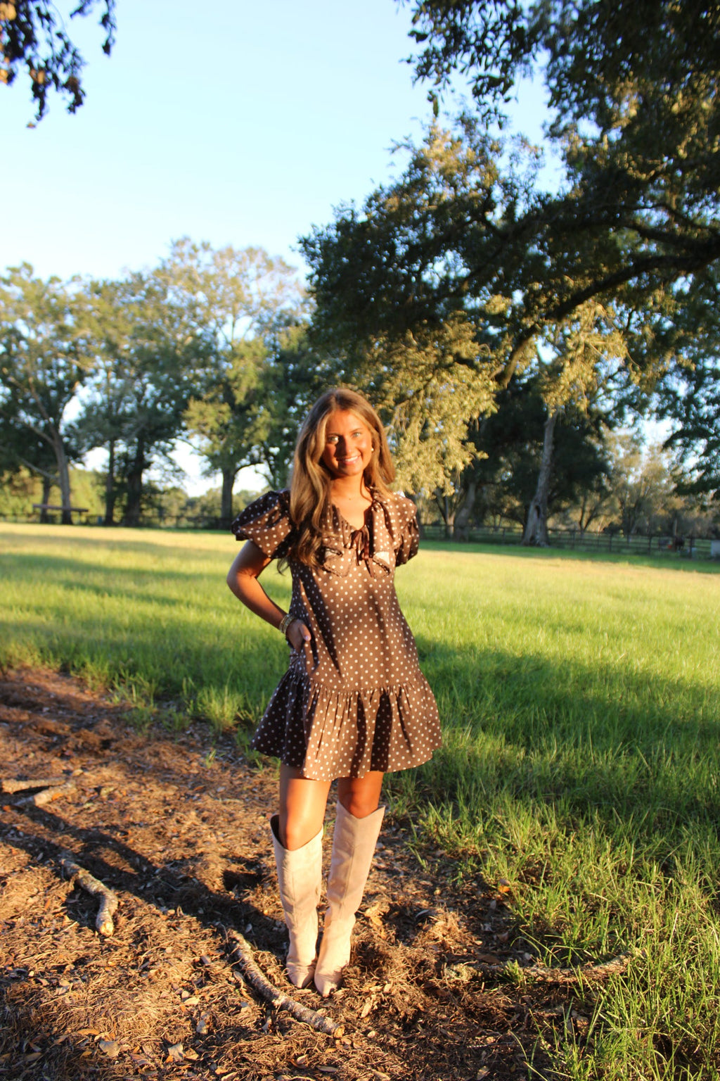 Brown Polka dot Dress