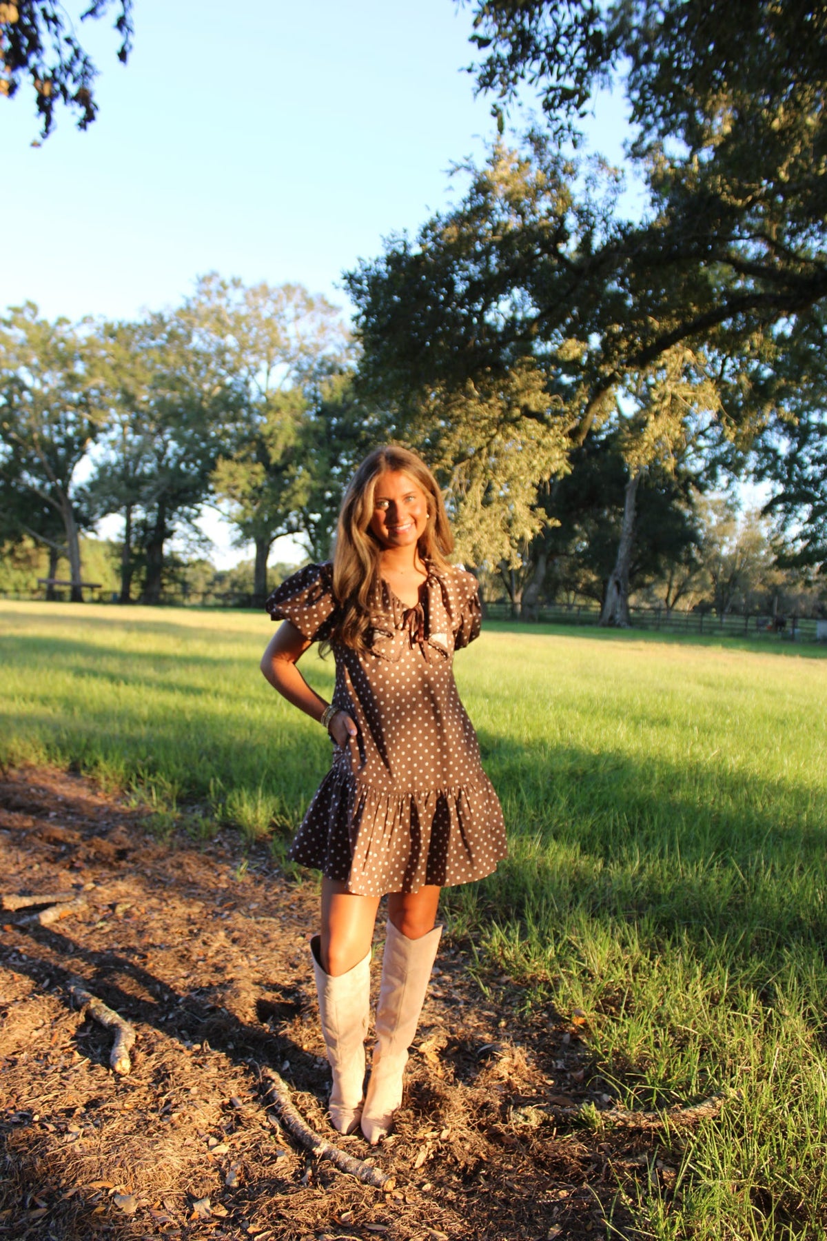 Brown Polka dot Dress